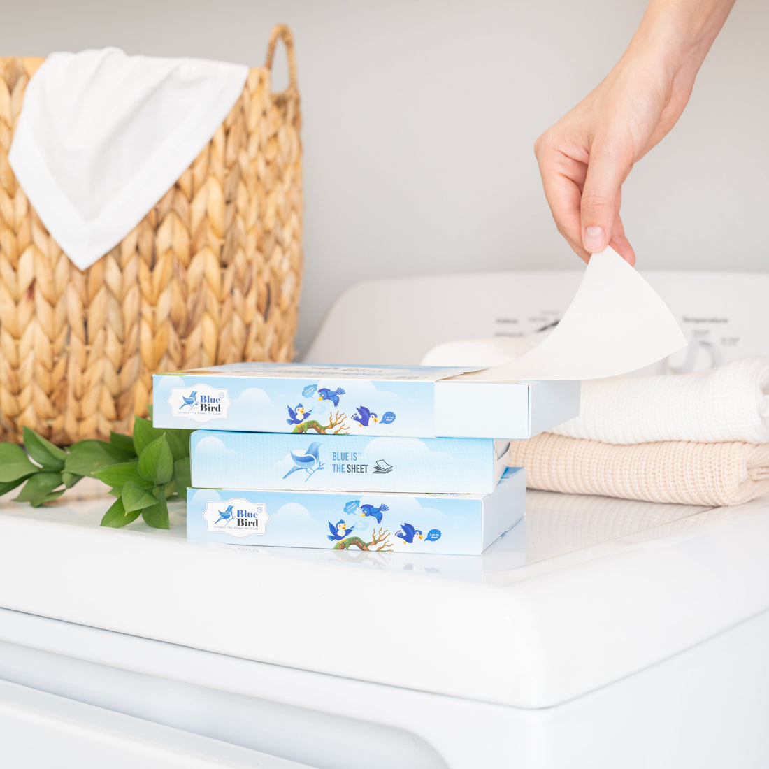 A hand holding a Blue Bird laundry detergent sheet box at a laundromat washing machine