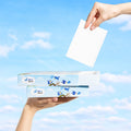 Blue Bird laundry detergent sheets three box household pack, 240 loads