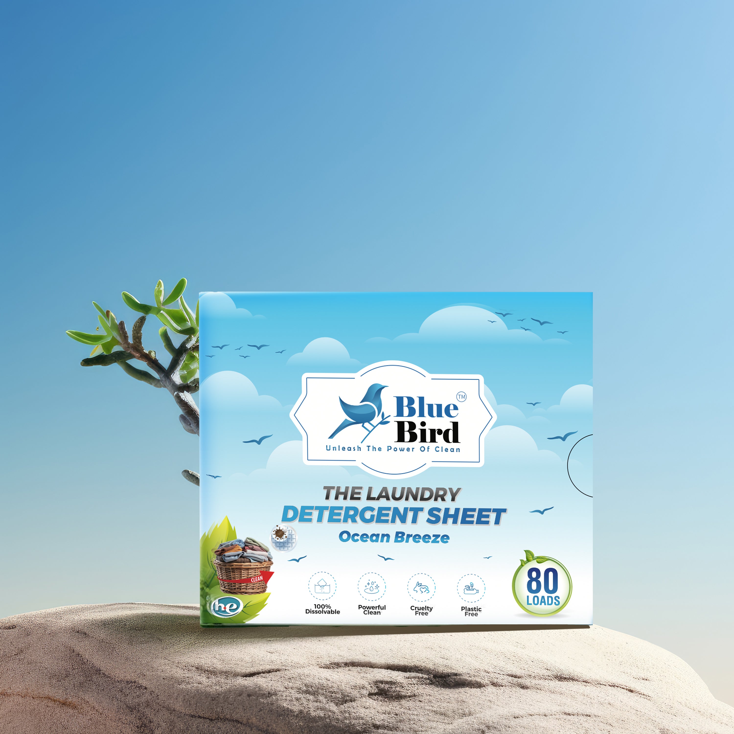 Blue Bird Ocean Breeze